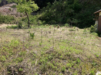 【外観】 | 長浜市木尾町売土地