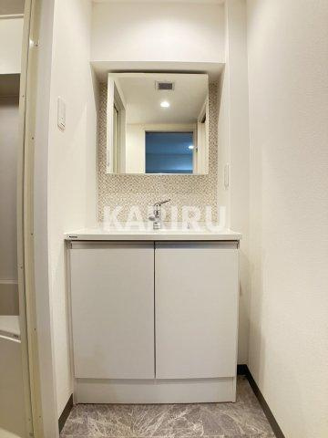 ラ・メゾン・フジの洗面所