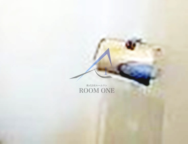 プレサンス本駒込アカデミア