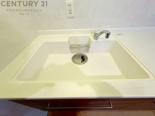 大きなシンクでお鍋などの大きな調理器具を洗う際にも便利です。