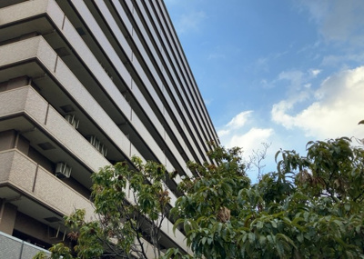 【バルコニー】 | ライオンズガーデン町田駅南 | 一般的なバルコニーは、奥行1.5ｍ程ですが、ワイルドバルコニーは2ｍまで広がっています。そのため洗濯物の間隔をあけ干すことができ、乾きやすいというメリットや、ガーデニングが楽しめる等の特徴があります。