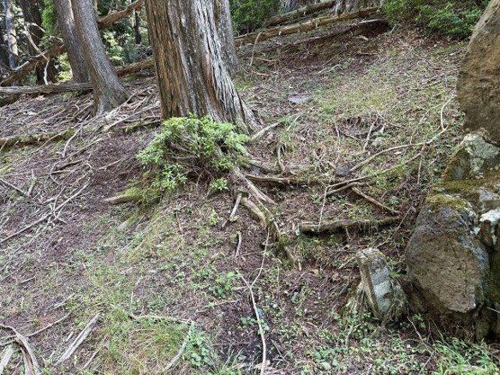 【外観】 | 東急天城高原別荘地　売地