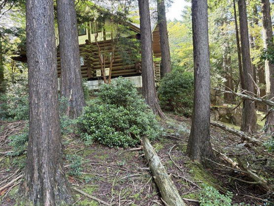 【外観】 | 東急天城高原別荘地　売地