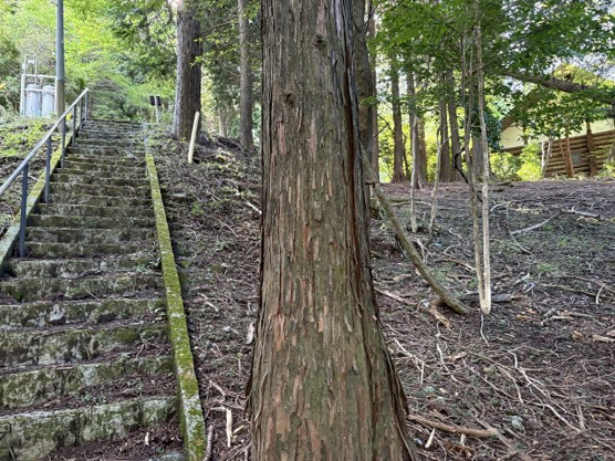【外観】 | 東急天城高原別荘地　売地