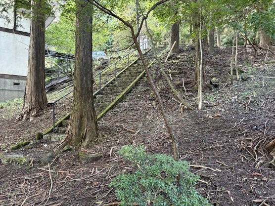 【外観】 | 東急天城高原別荘地　売地