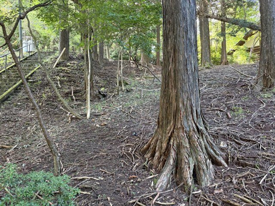 【外観】 | 東急天城高原別荘地　売地