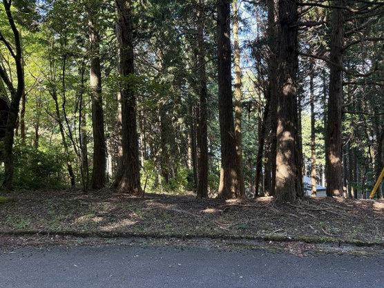 【外観】 | 東急天城高原別荘地　売地