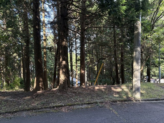 【外観】 | 東急天城高原別荘地　売地