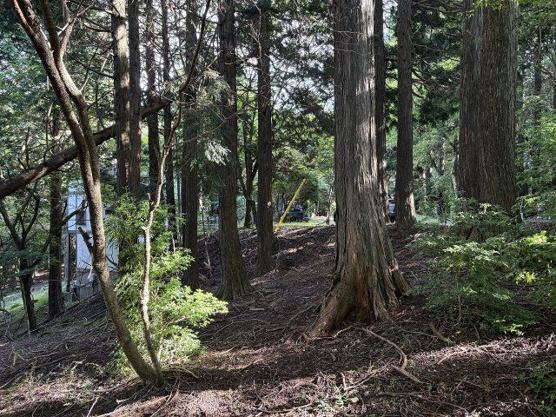 【外観】 | 東急天城高原別荘地　売地