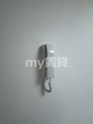 【セキュリティ】 | グリーンパレスナカミチ