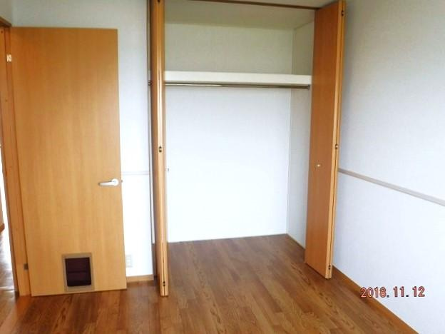 グリーンビレッジⅡの内装