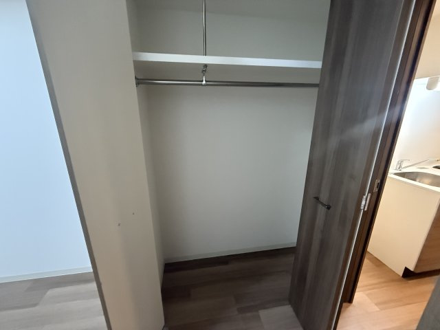 プレサンスTHE久屋大通レジェンド|名古屋市の賃貸ならMy賃貸の収納|プレサンスTHE久屋大通レジェンド