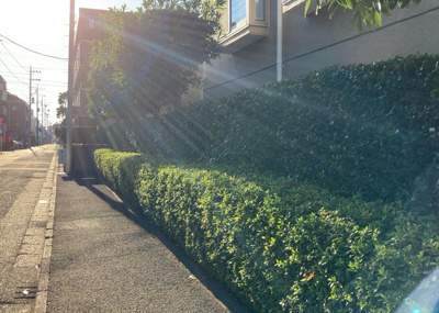 【庭】 | パレス町田 | 物件によっては、入居者が個人的に使用できる専用庭がついているものもあります。また、住宅の中にある土間の部分を庭と呼ぶこともあります。庭の用途は住む人によって変わり、それによってデザインもさまざまです。