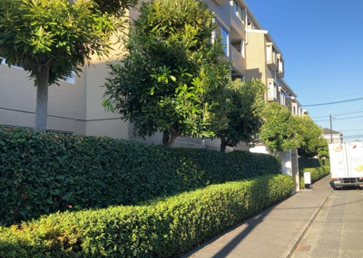 【中庭】 | パレス町田 | 中庭（パティオ）とは、一つの建築物の内部に設けられた、壁などで囲われている庭のことを指します。コの字型、ロの字型が主流ですが、L字型の中庭もあります。最近では、インテリア性の高さからも人気があります。