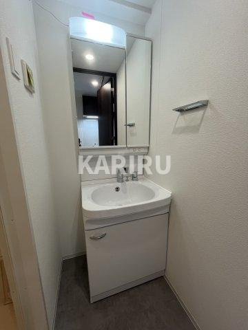 スワンズシティ大阪クレアストの洗面所