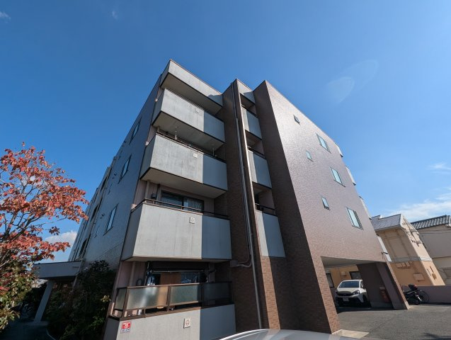 コージィーコート桜井