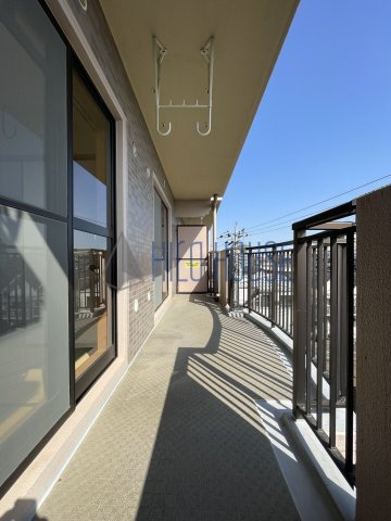 ミレニアム・リュウの展望