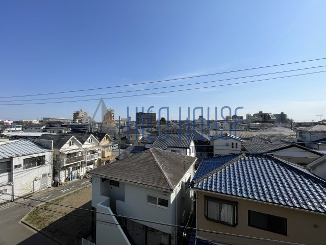 ミレニアム・リュウのその他