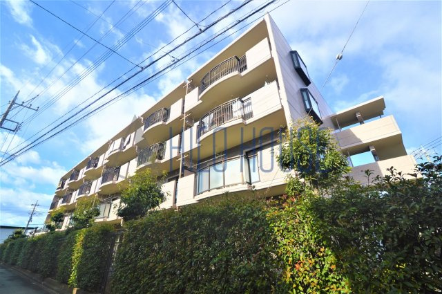 ミレニアム・リュウの外観