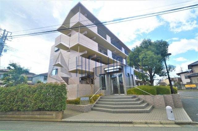 ミレニアム・リュウ