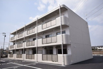 Y&Mアミティエの画像