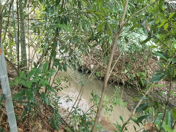 富津市佐貫　売地の前面道路含む現地写真|近隣の小川画像