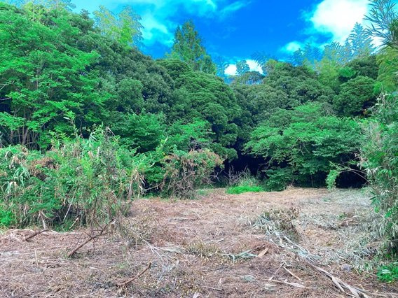 富津市佐貫　売地の画像