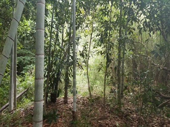 富津市佐貫　売地の前面道路含む現地写真|新舞子海水浴場へ車で約６分