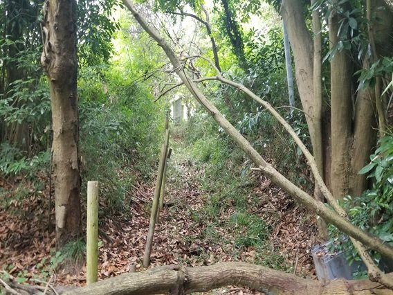 富津市佐貫　売地の前面道路含む現地写真|前面道路南東側幅員約０．９ｍ