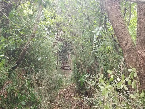 富津市佐貫　売地の前面道路含む現地写真|JR内房線「佐貫」駅約１．３ｋｍ車で約３分