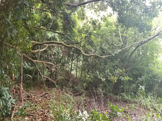 富津市佐貫　売地の前面道路含む現地写真|館山道「富津中央IC」約１．８ｋｍ車で約４分