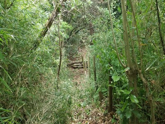 富津市佐貫　売地の前面道路含む現地写真|バス停へ徒歩約２分