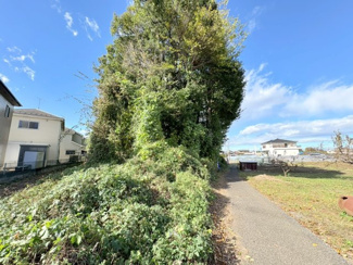 【外観】 | 川越市的場　資材置場用地　「鶴ヶ島IC」車12分　敷地373坪　