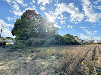 【外観】 | 川越市的場　資材置場用地　「鶴ヶ島IC」車12分　敷地373坪　