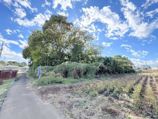 【外観】 | 川越市的場　資材置場用地　「鶴ヶ島IC」車12分　敷地373坪　