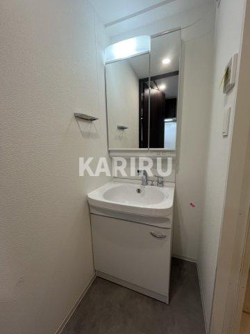 スワンズシティ大阪クレアストの洗面所