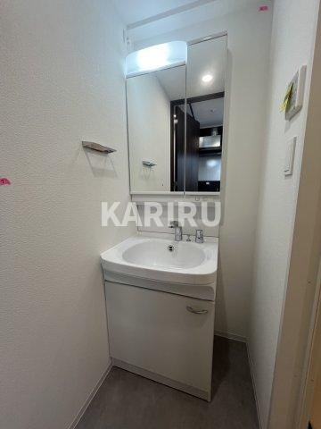 スワンズシティ大阪クレアストの洗面所