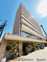 Celeb布施東の画像