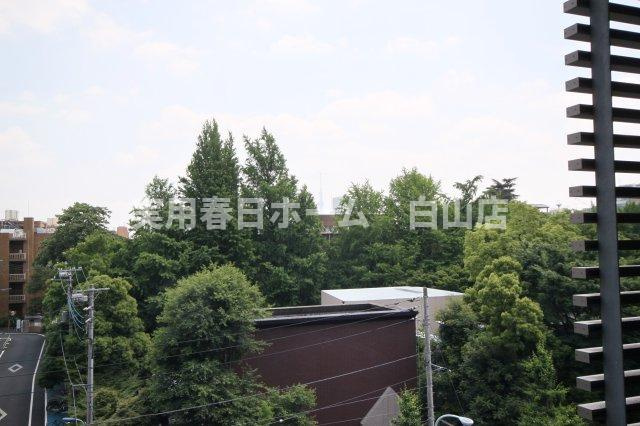 【展望】