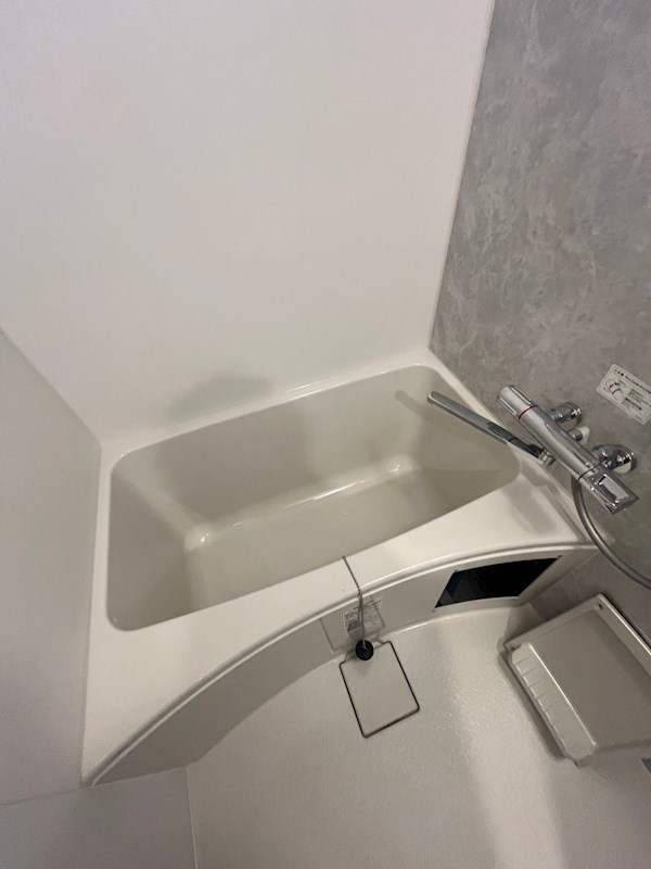 ワールドアイ神戸ハーバーランドⅡの浴室