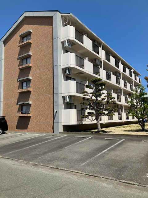 ハイライフ花中