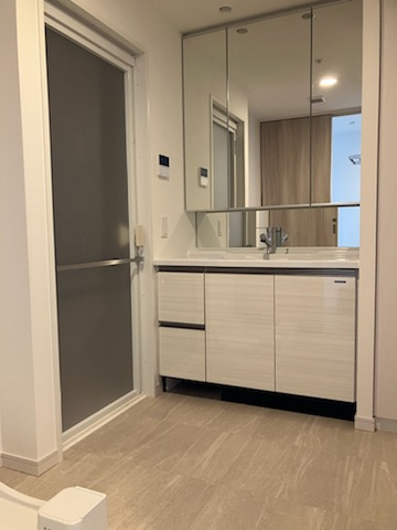 ザ・ハウス豊橋WEST　1403号室の洗面所