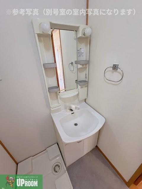 ジュヴィエ弐番館の洗面所