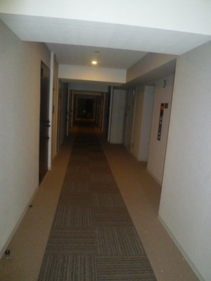  | フレンシア菊川