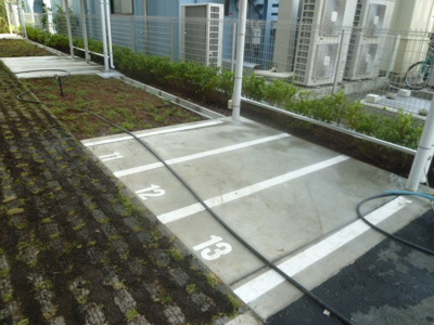  | フレンシア菊川