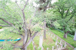 【周辺】 | 西側公園