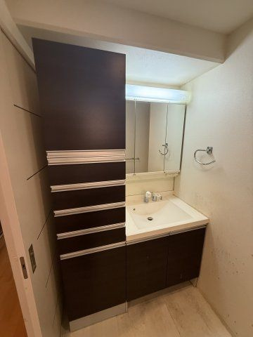 メゾンT.I.Uの洗面所