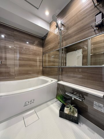 日神デュオステージ蔵前NEXT 8Fの浴室