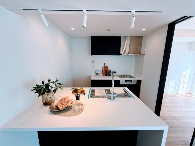 日神デュオステージ蔵前NEXT 8Fのキッチン