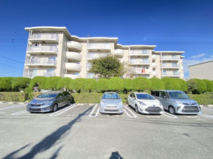 大津シーハイツC棟の画像